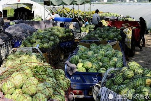 班主任跳舞引爆校园,严肃形象背后的自我挑战与学生互动新风尚