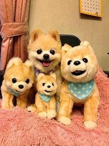 从吃瓜爆料到欧阳娜娜视频热潮，娱乐圈的多面精彩