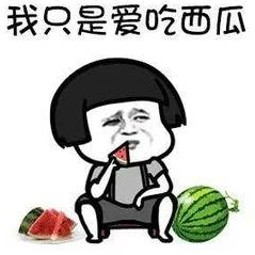 2016娱乐圈风云与雷诺曼吃瓜潮流回顾