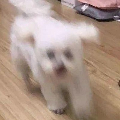 毕雯珺最新动态曝光，揭秘娱乐圈背后的趣味故事