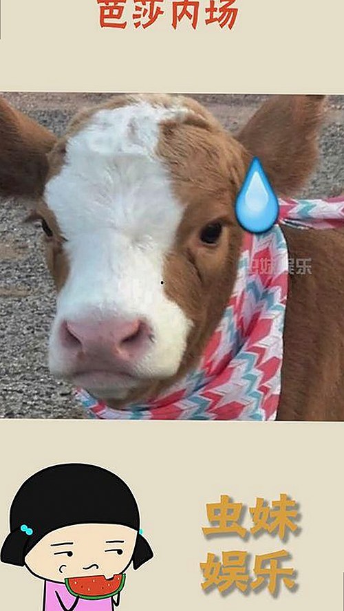 娱乐圈幕后揭秘：大S独家爆料引发关注，明星隐私层层揭开