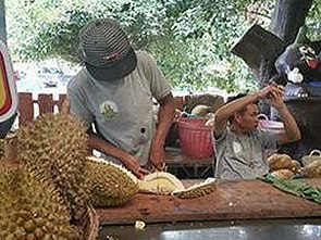 张若昀：实力与情感双丰收的娱乐圈“瓜王”